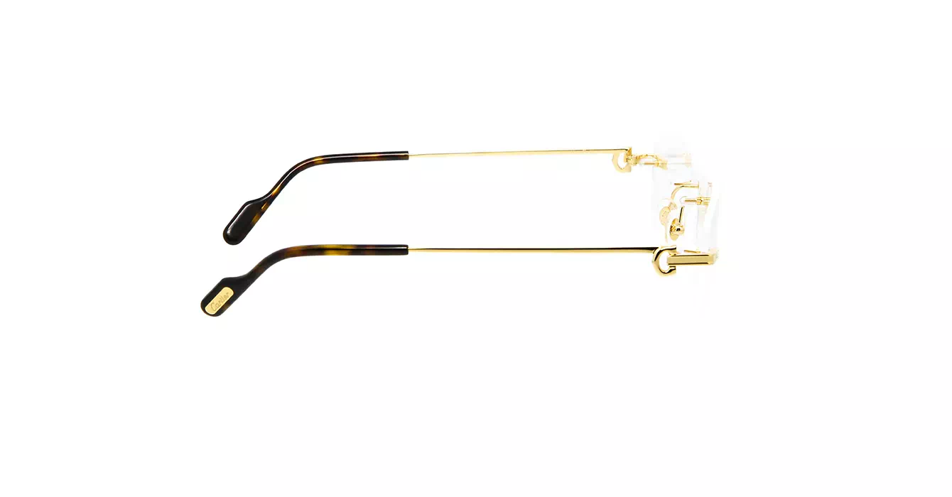 Cartier CT0259O 004 s57