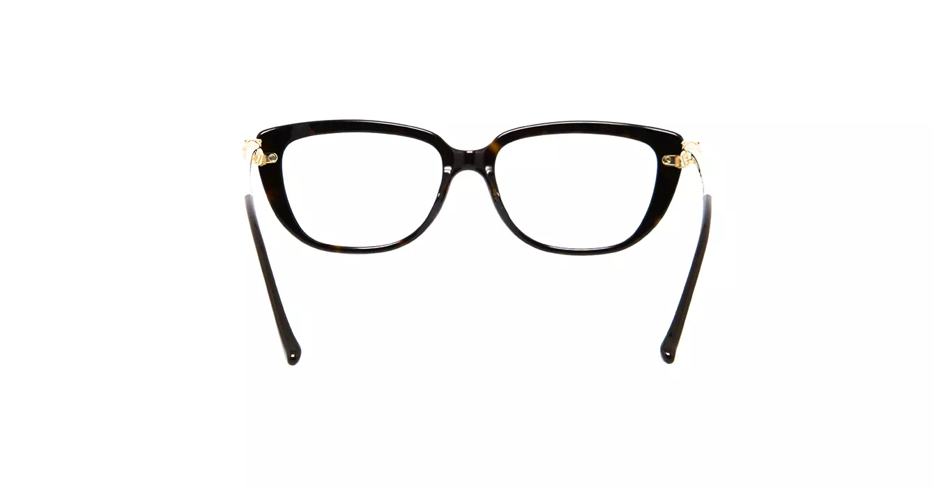 Cartier CT0282OA 002 s55