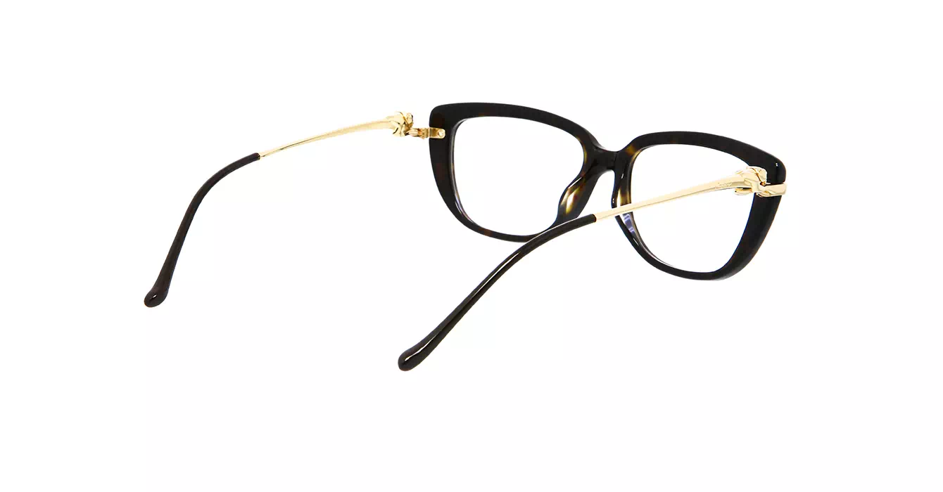Cartier CT0282OA 002 s55