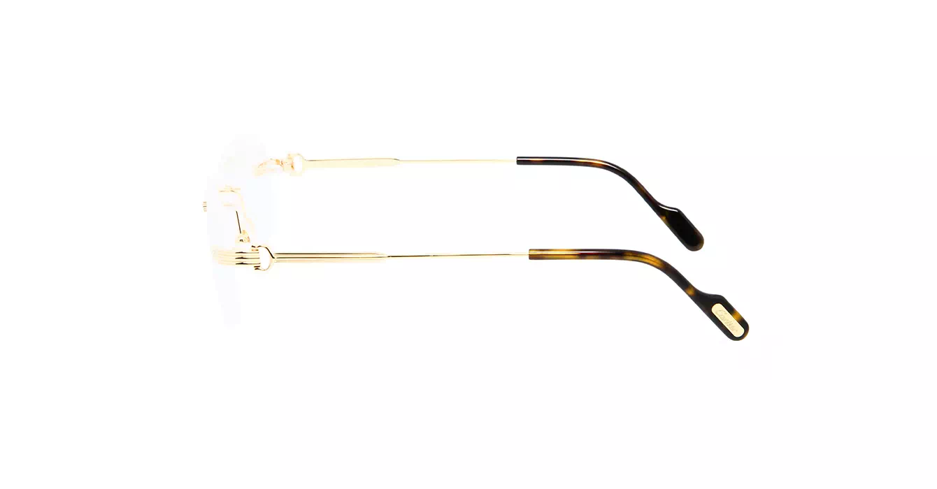 Cartier CT0284O 002 s56