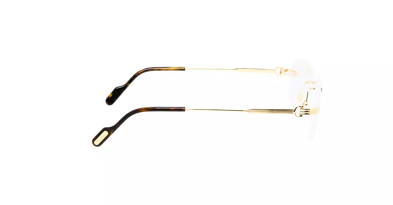 Cartier CT0284O 002 s56