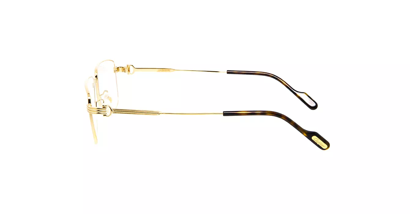 Cartier CT0294OA 002 s55