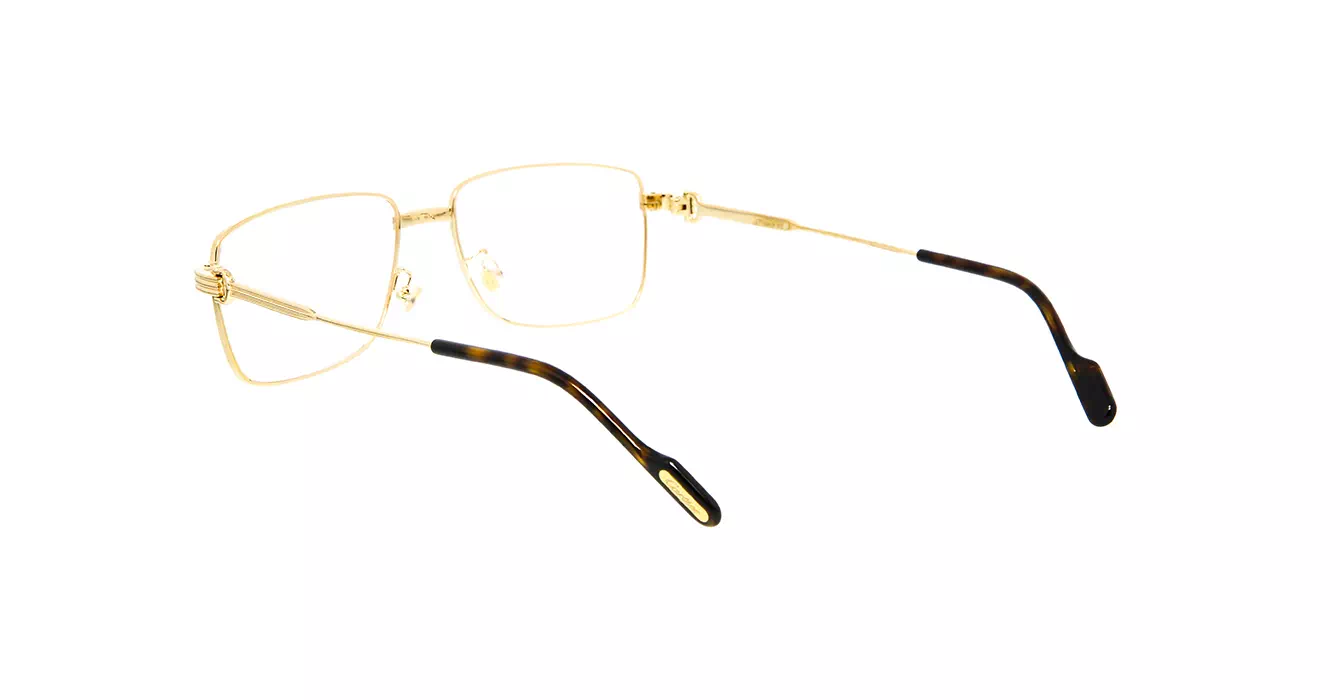 Cartier CT0294OA 002 s55