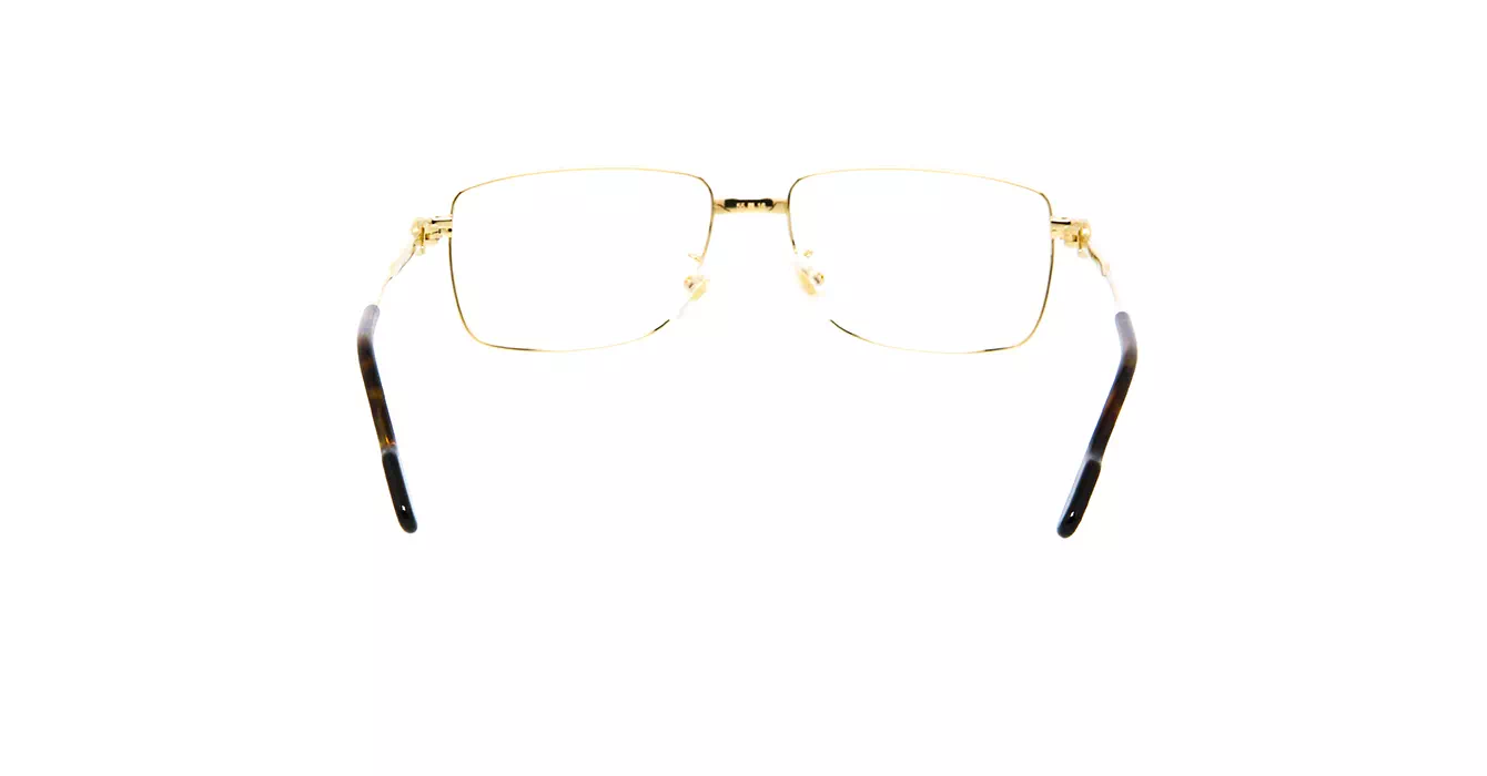 Cartier CT0294OA 002 s55