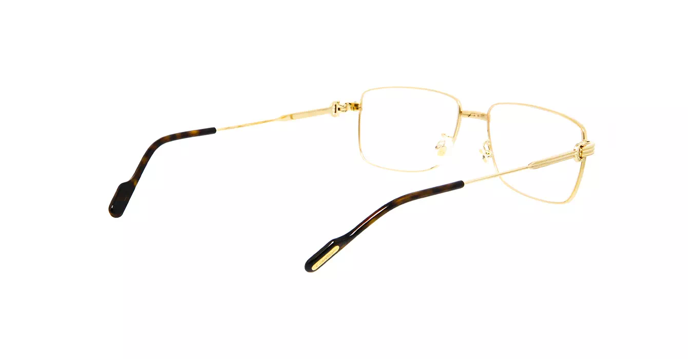 Cartier CT0294OA 002 s55