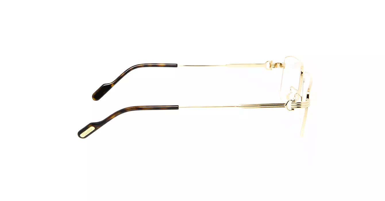 Cartier CT0294OA 002 s55