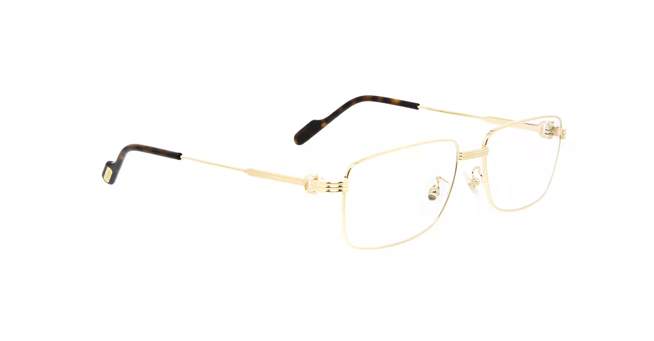 Cartier CT0294OA 002 s55