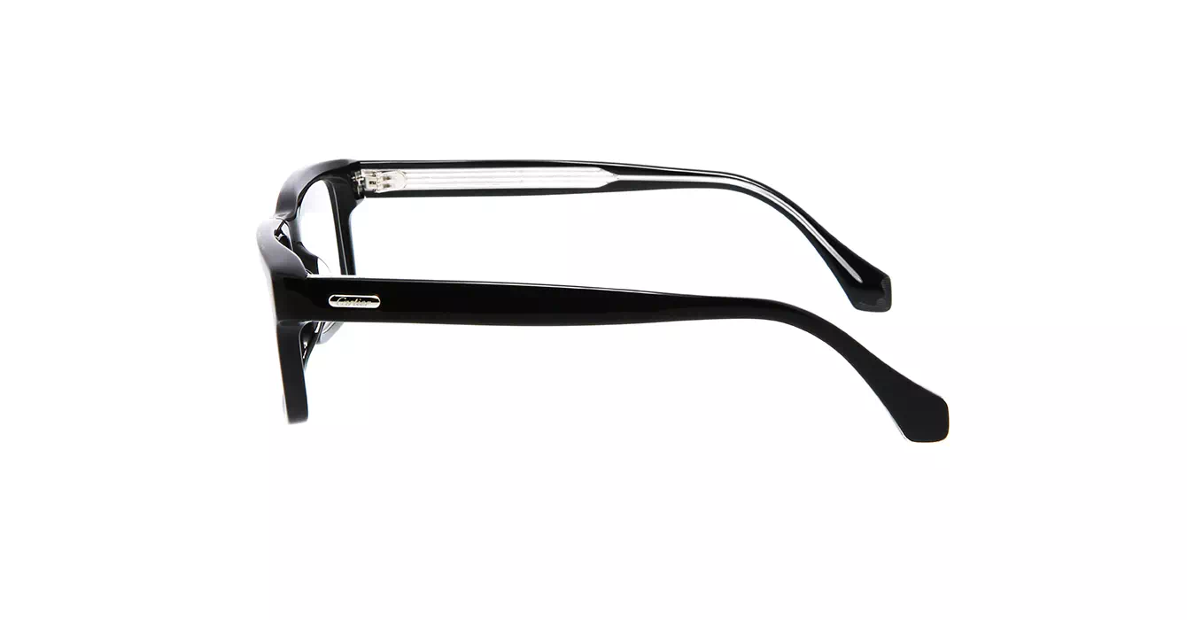 Cartier CT0291OA 005 s56