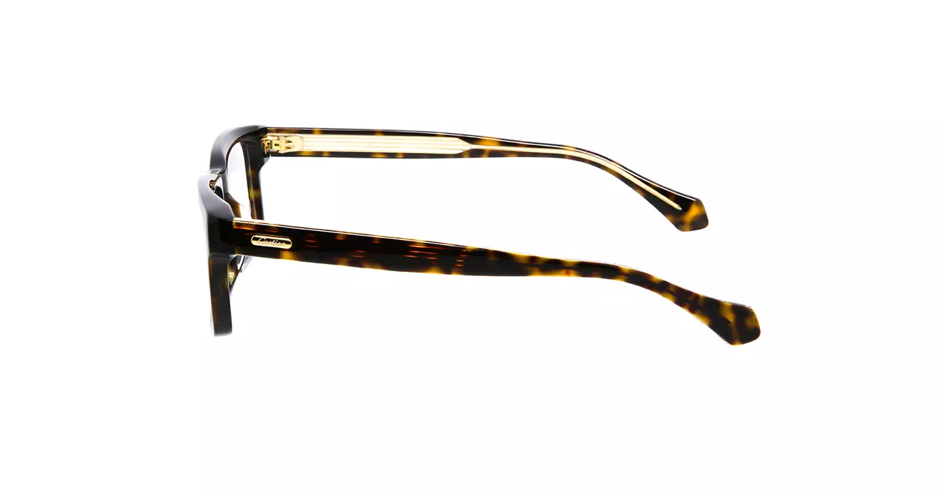 Cartier CT0291OA 006 s56