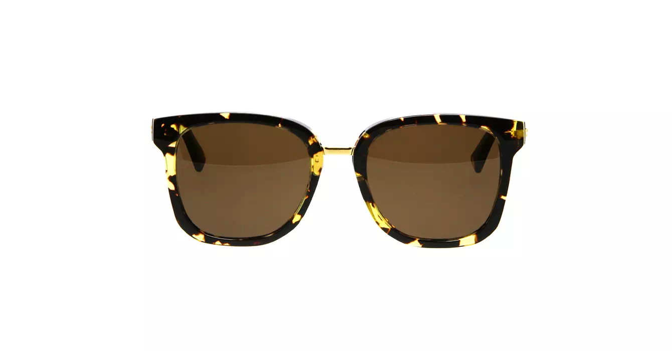 Bottega Veneta BV1095SA 002 s54