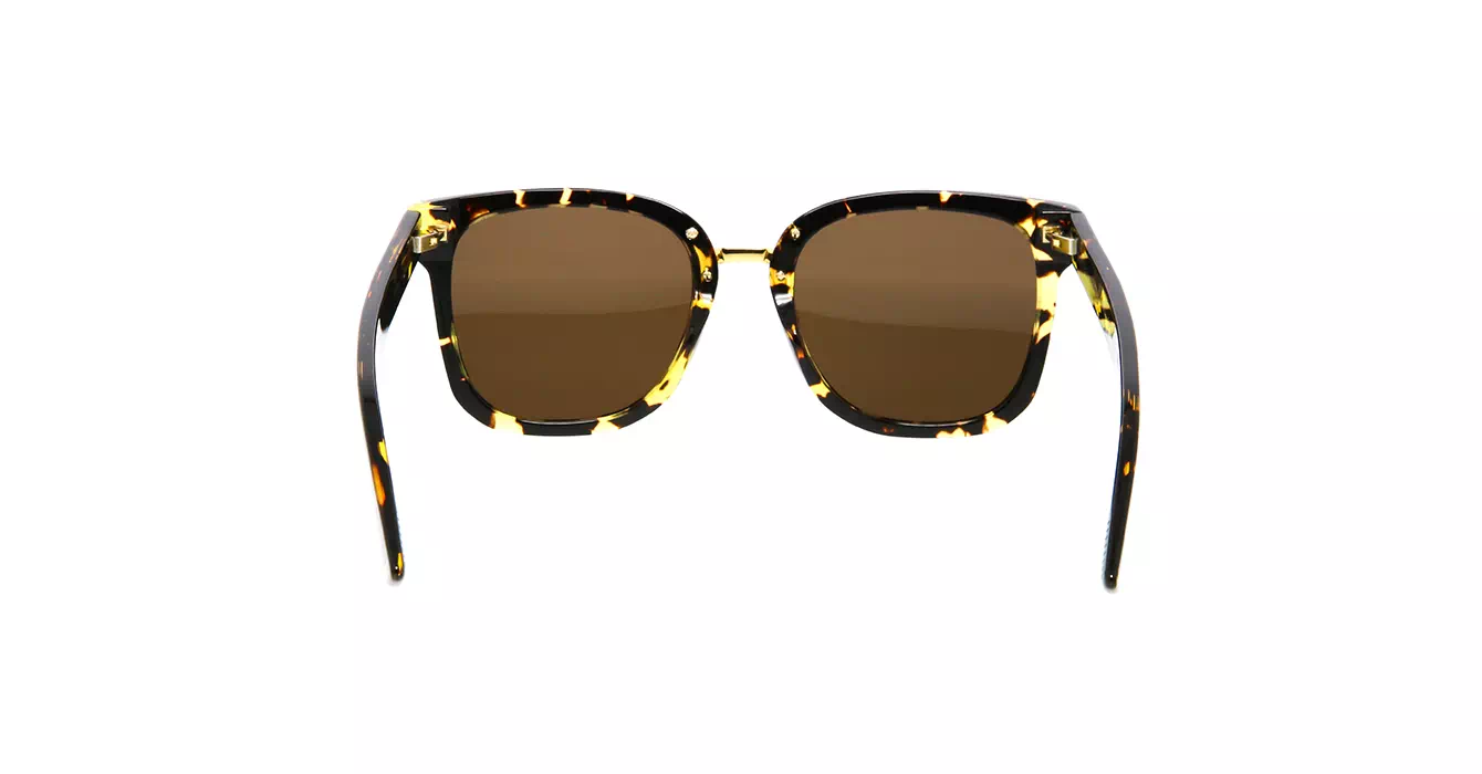 Bottega Veneta BV1095SA 002 s54