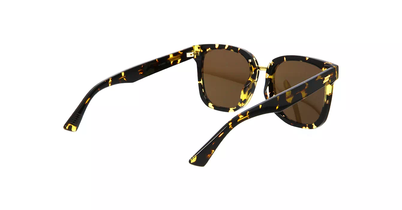 Bottega Veneta BV1095SA 002 s54