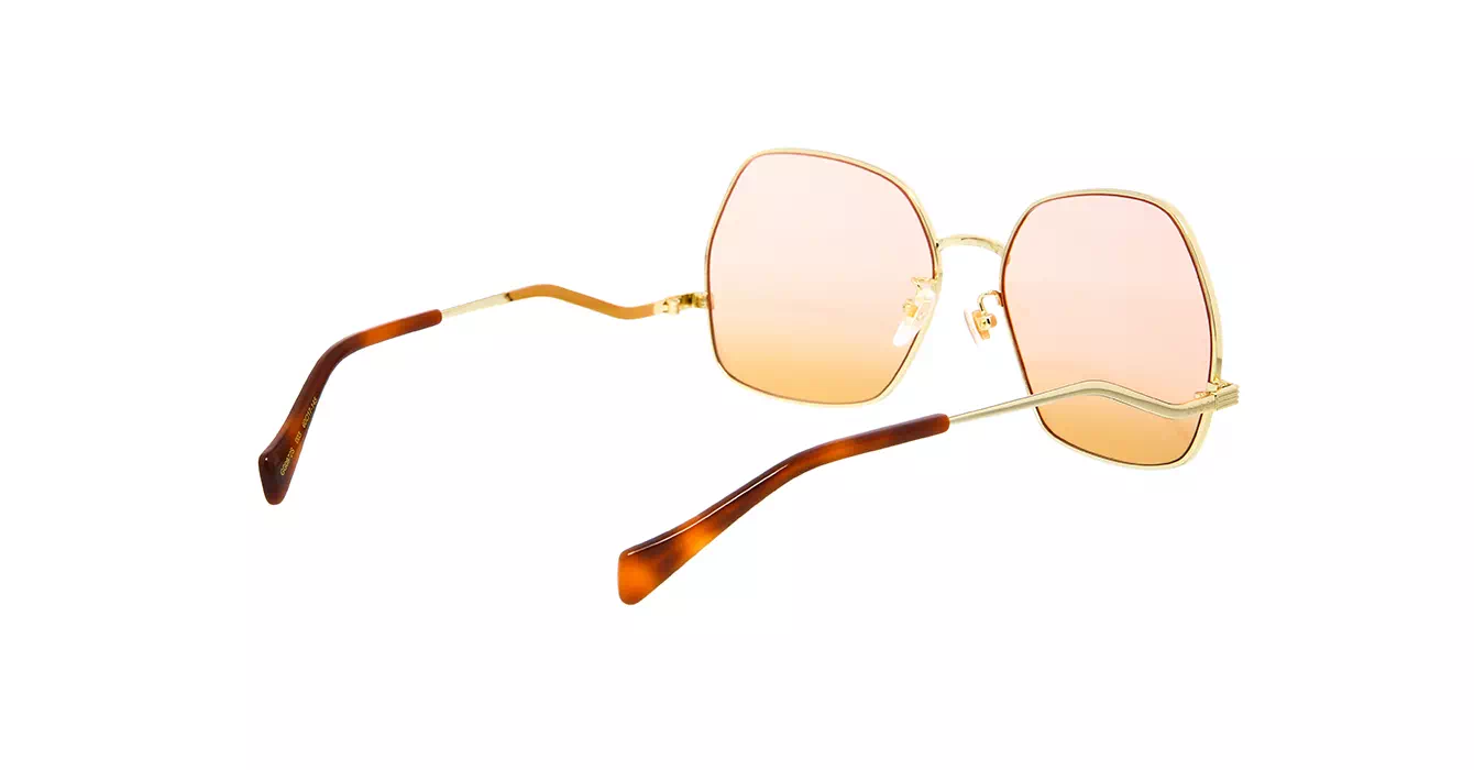 Gucci GG0972S 003 s60