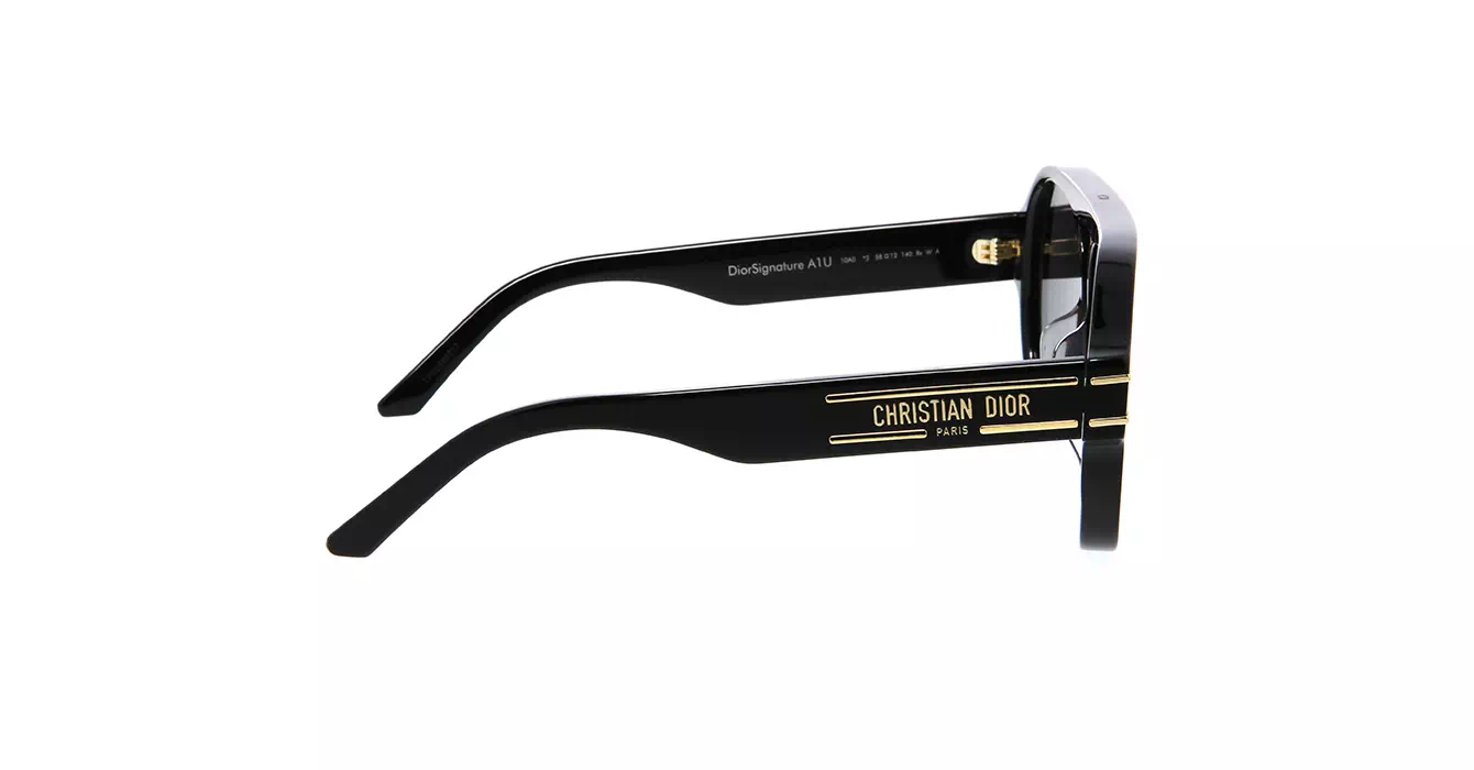 Dior Signature A1U CD40047U 10A0 s58