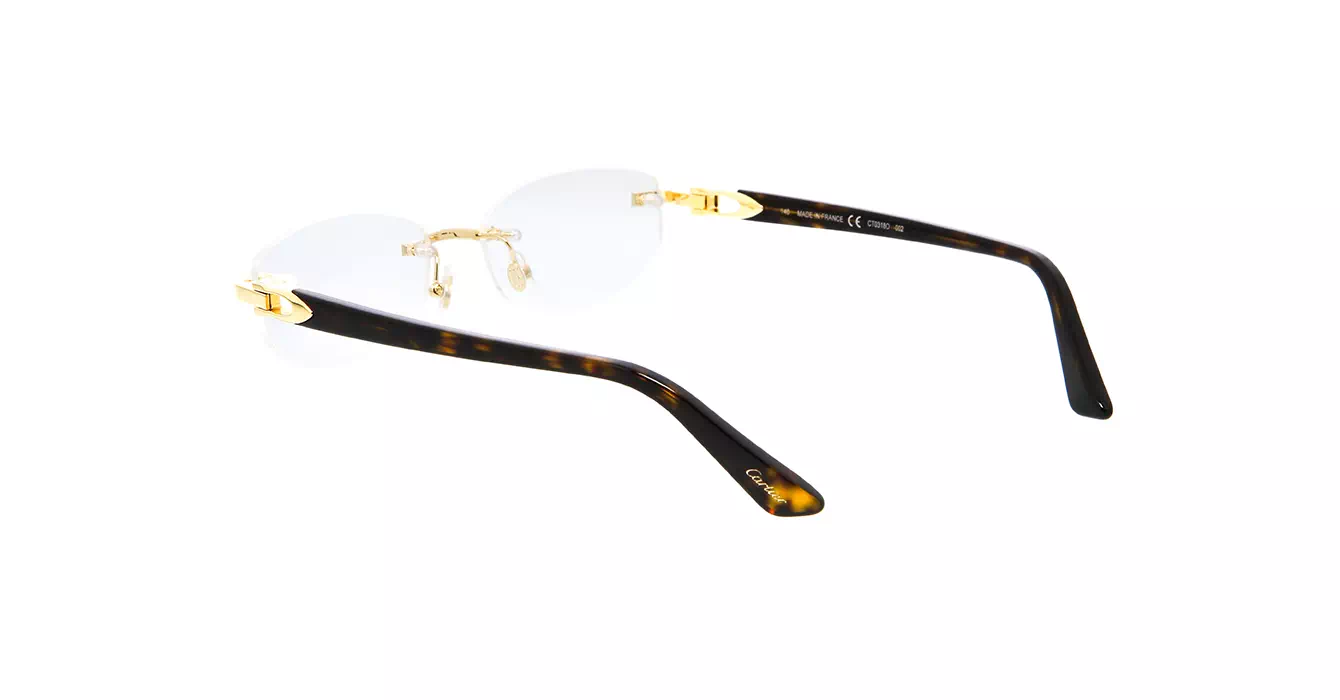 Cartier CT0318O 002 s52