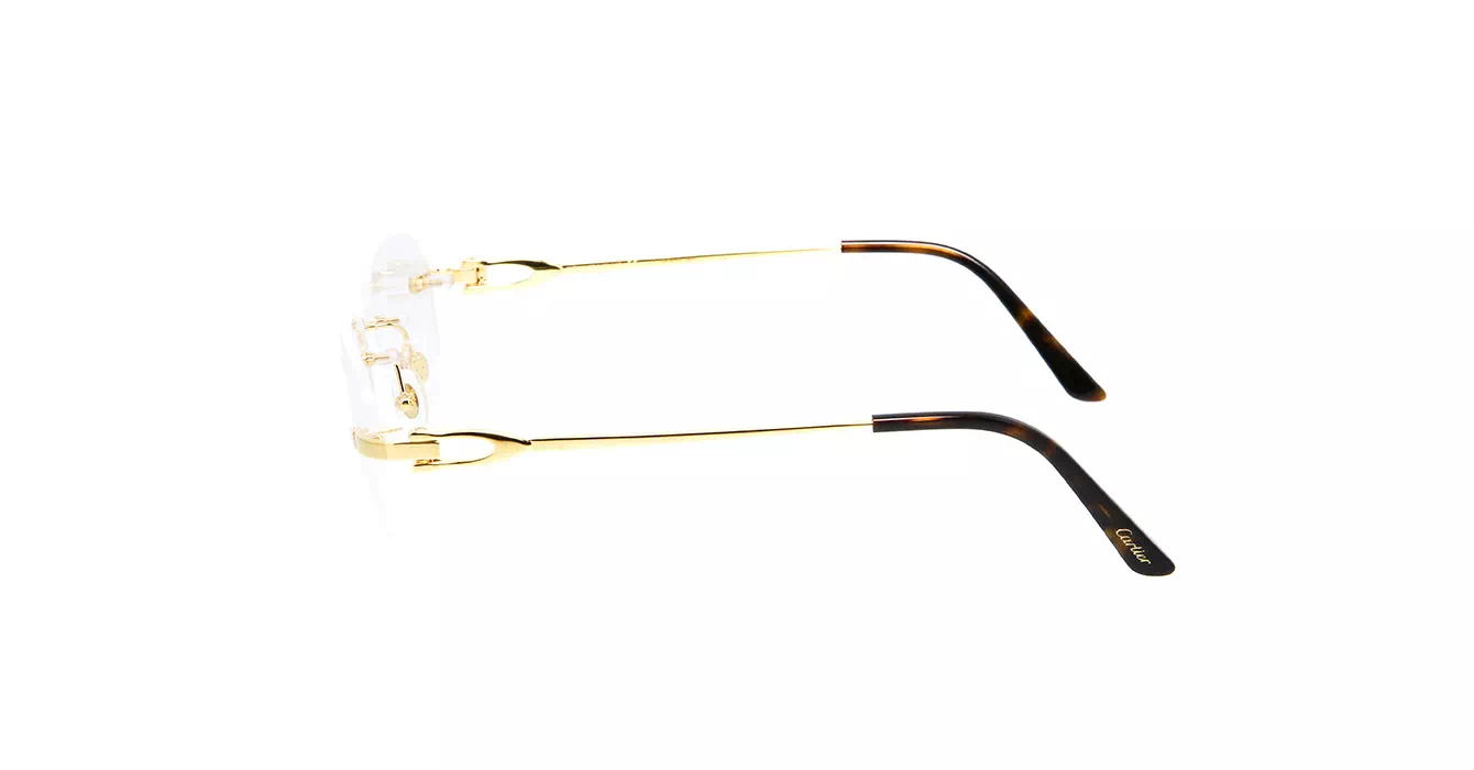 Cartier CT0290O 001 s53