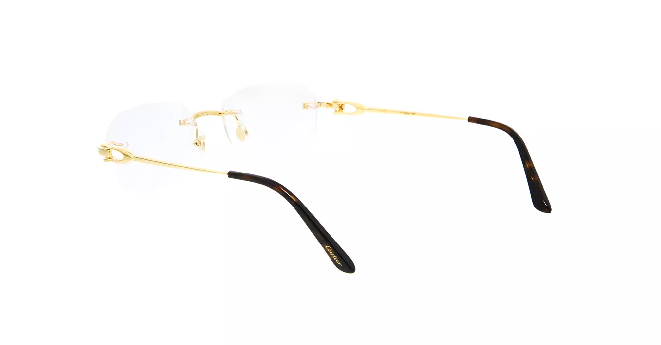 Cartier CT0290O 001 s53
