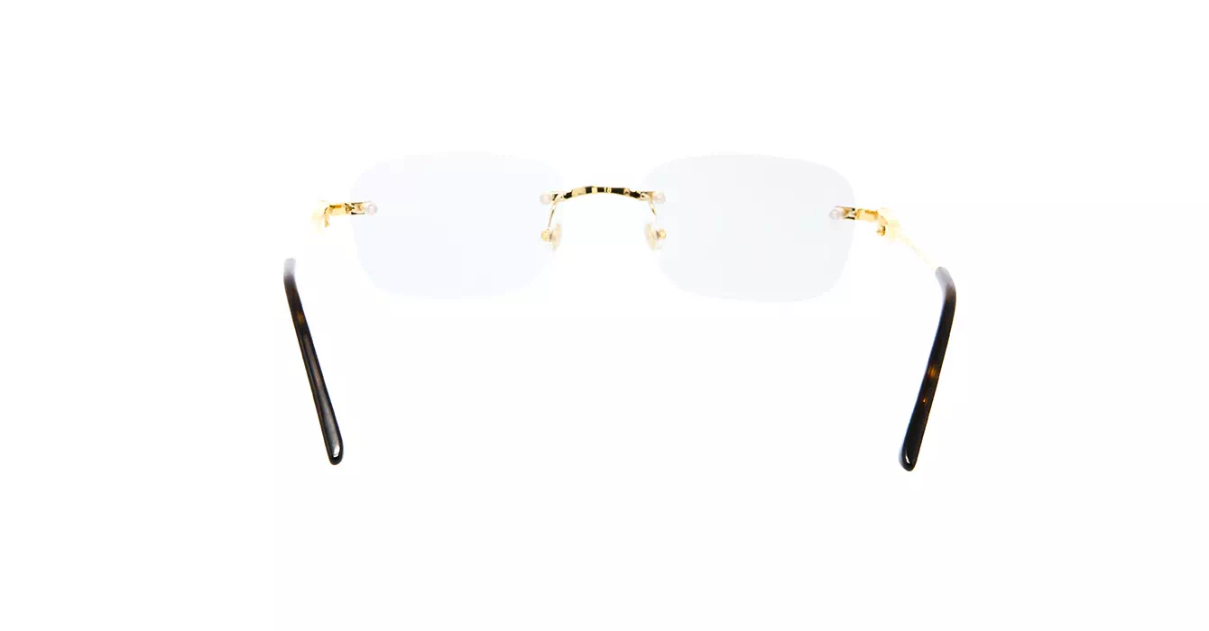 Cartier CT0290O 001 s53