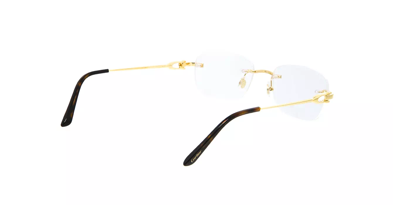 Cartier CT0290O 001 s53