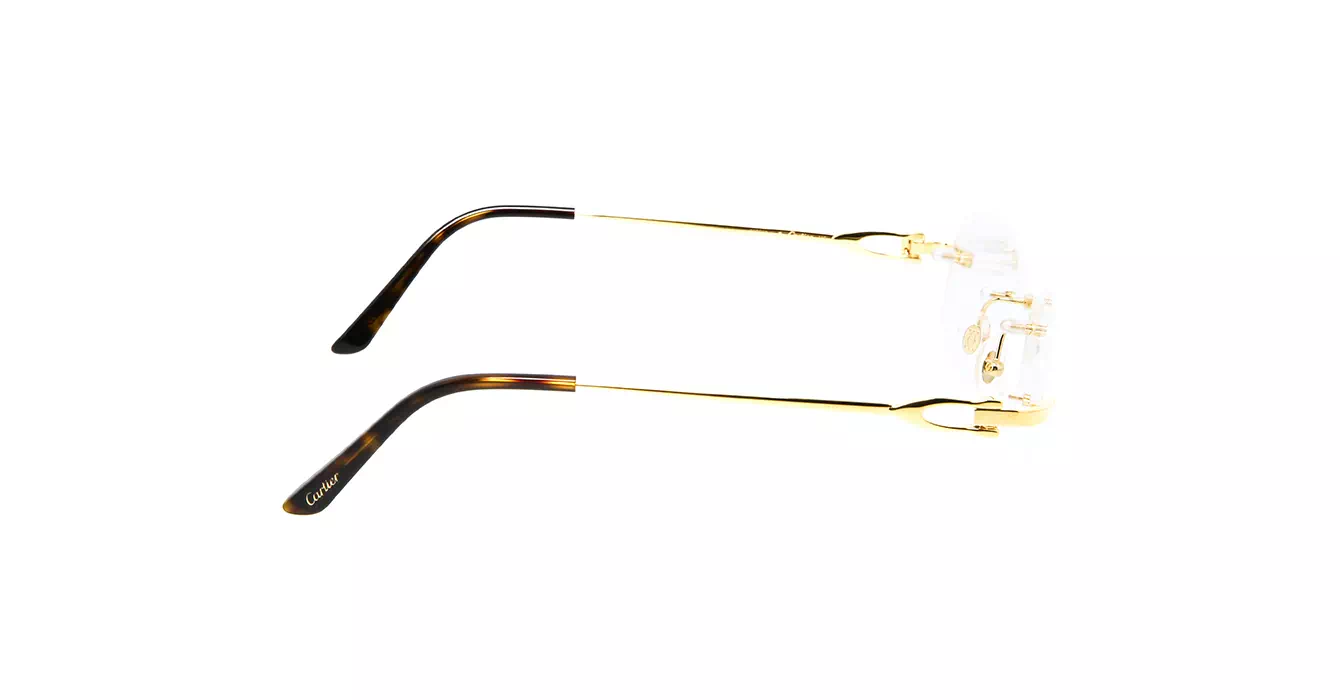 Cartier CT0290O 001 s53