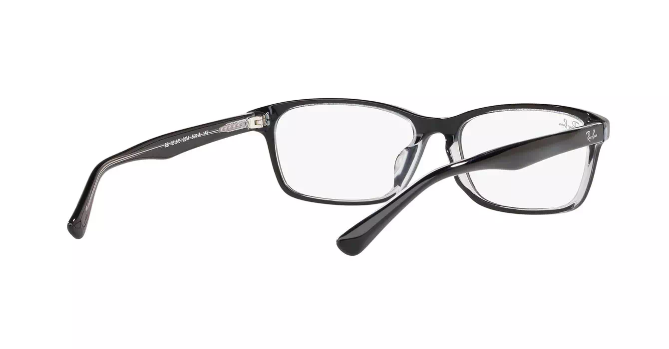 Ray-Ban RB5318-D 2034 s55