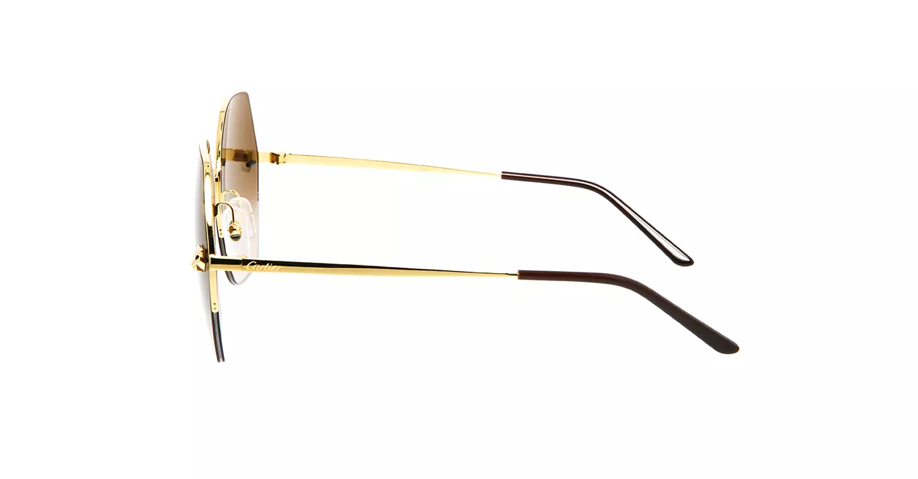 Cartier CT0332S 002 s62