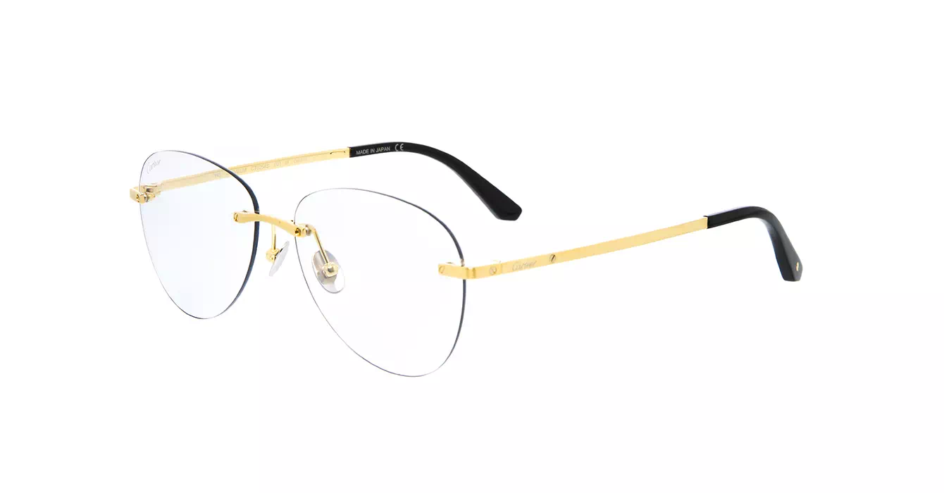 Cartier CT0254S 001 s57