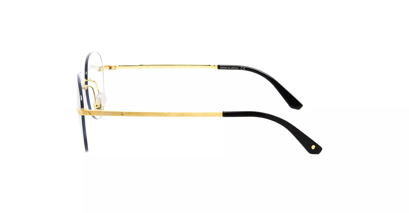 Cartier CT0254S 001 s57
