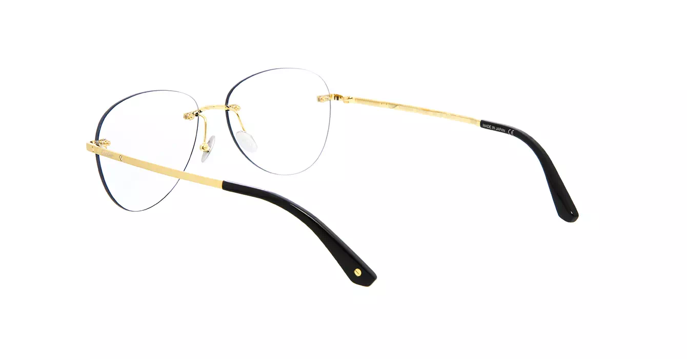 Cartier CT0254S 001 s57