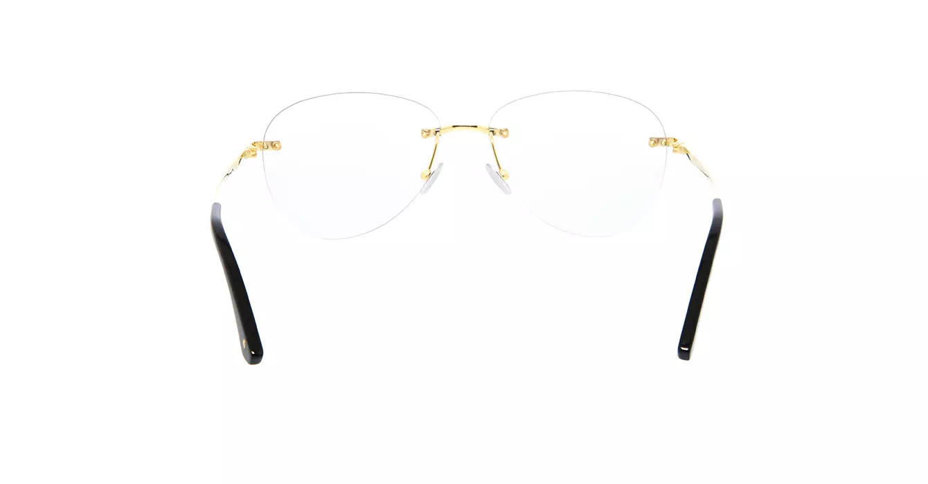 Cartier CT0254S 001 s57