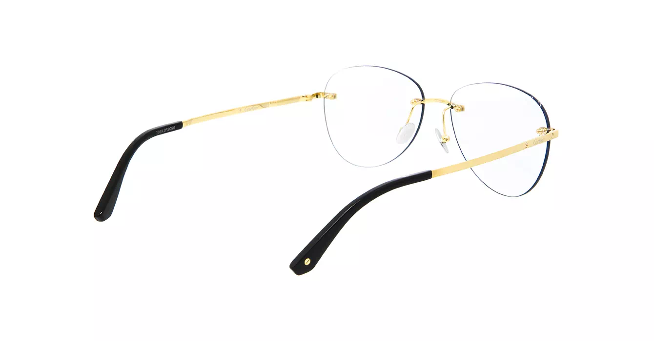 Cartier CT0254S 001 s57