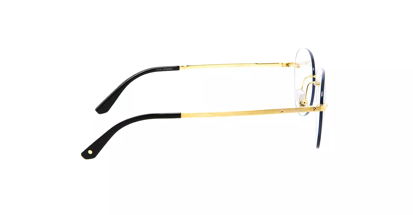 Cartier CT0254S 001 s57