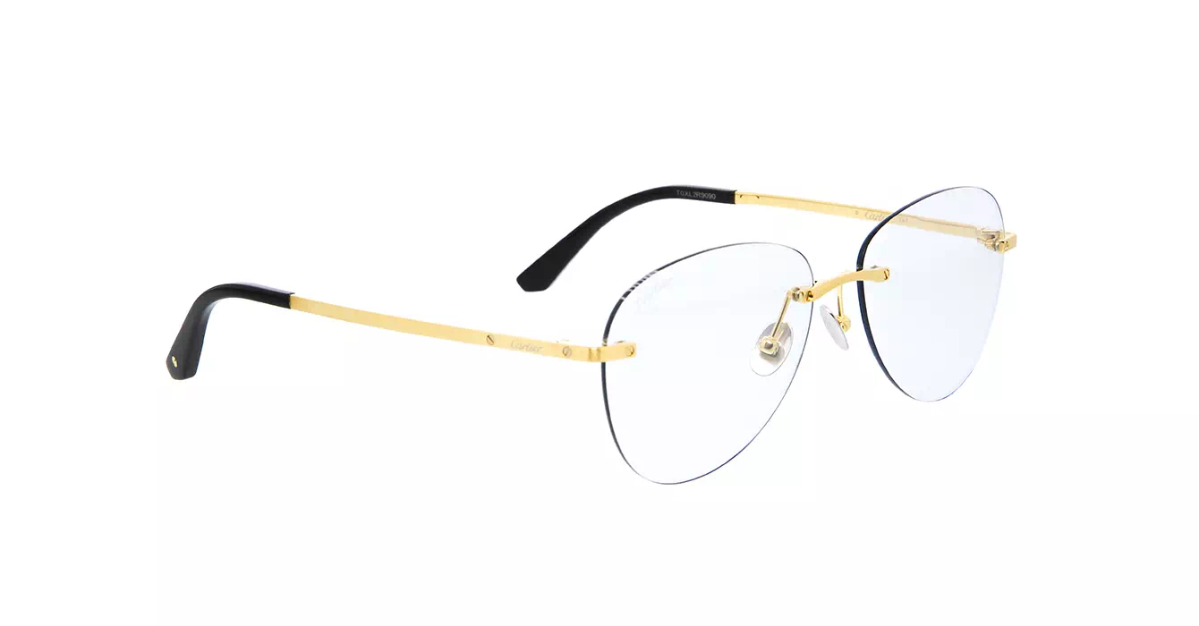 Cartier CT0254S 001 s57