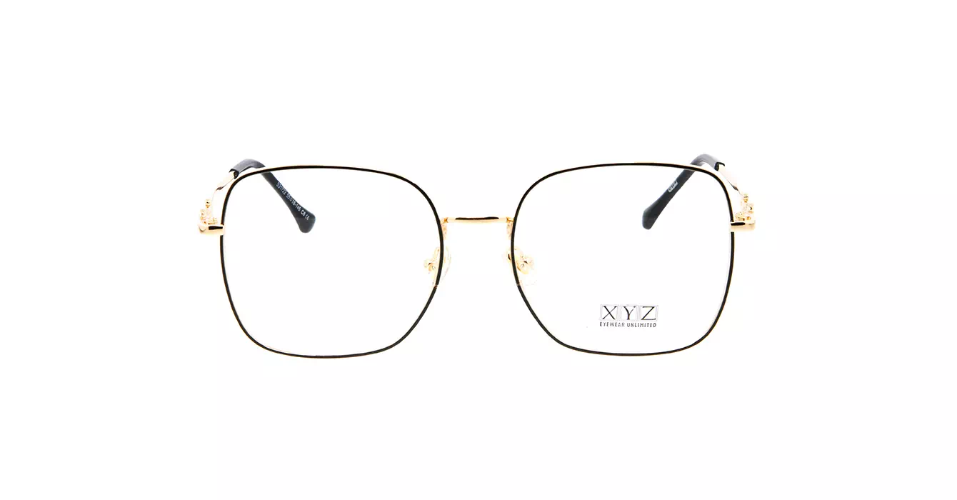 XYZ S31722 C6 s55