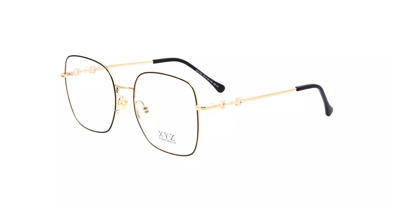 XYZ S31722 C6 s55