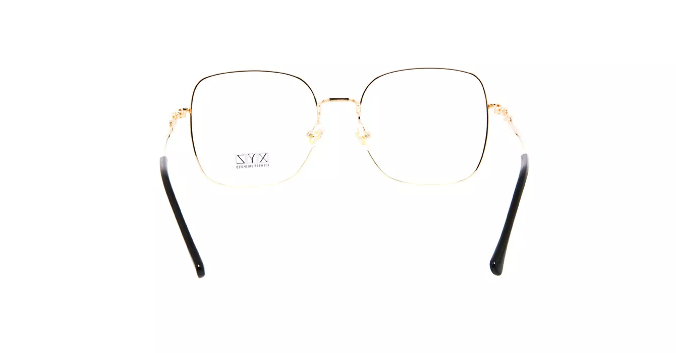 XYZ S31722 C6 s55