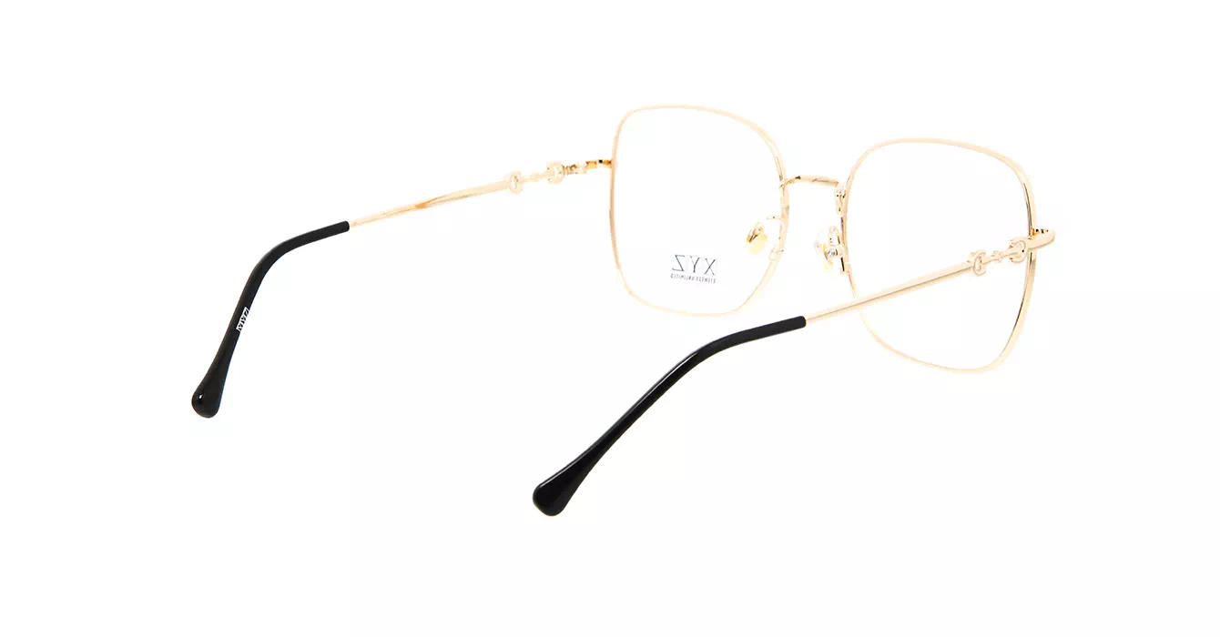 XYZ S31722 C6 s55