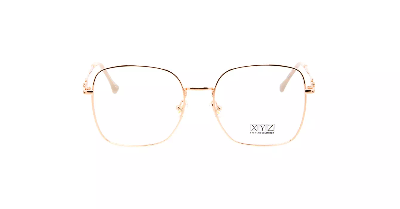 XYZ S31722 C4 s55