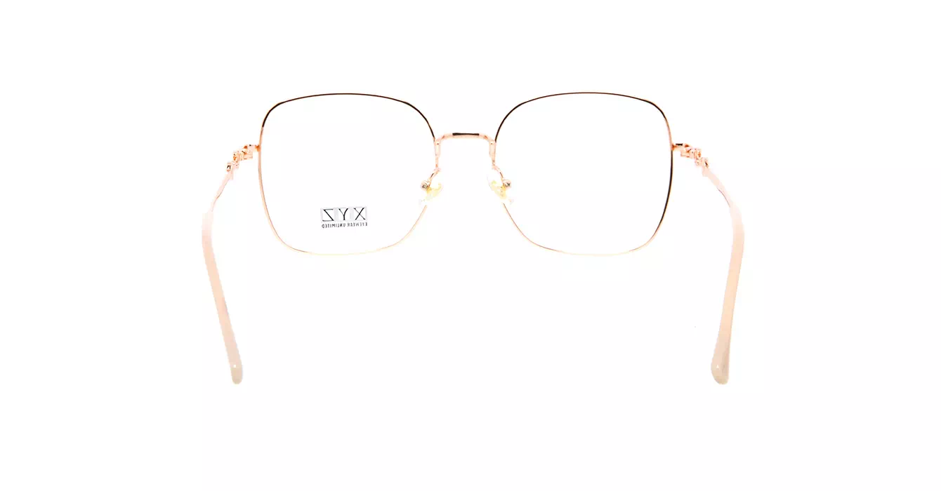 XYZ S31722 C4 s55