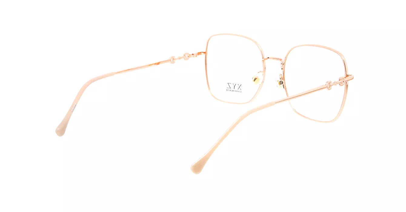 XYZ S31722 C4 s55