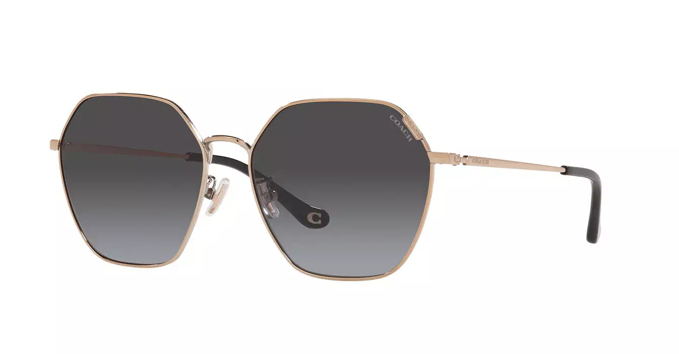 Coach HC7132 9331/8G s58