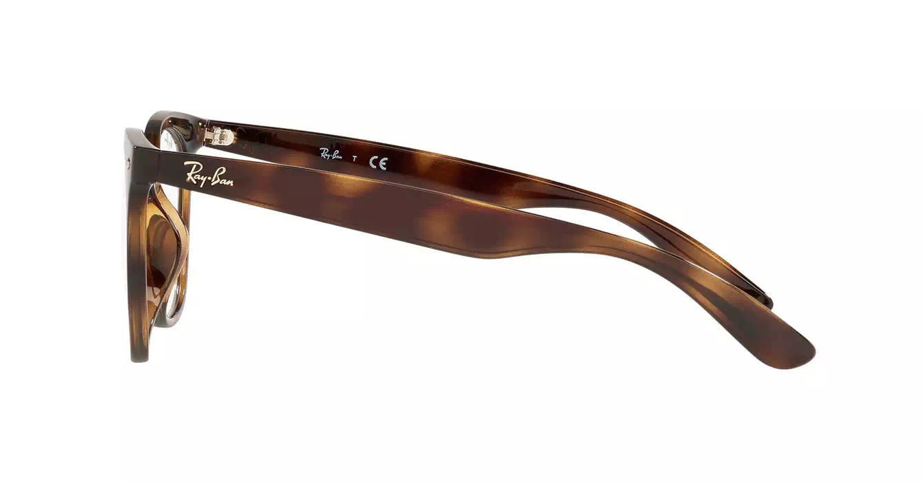Ray-Ban RB4379VD 2012 s53