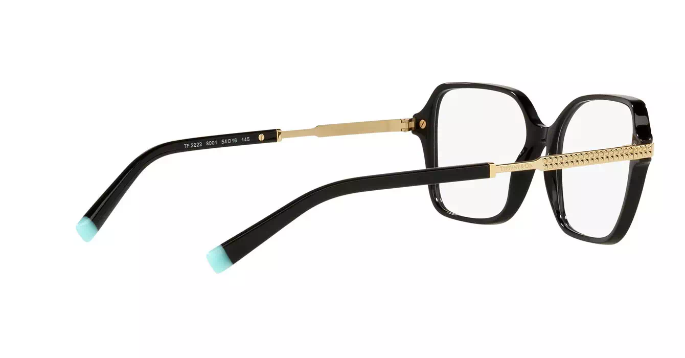 Tiffany&co TF2222-F 8001 s54