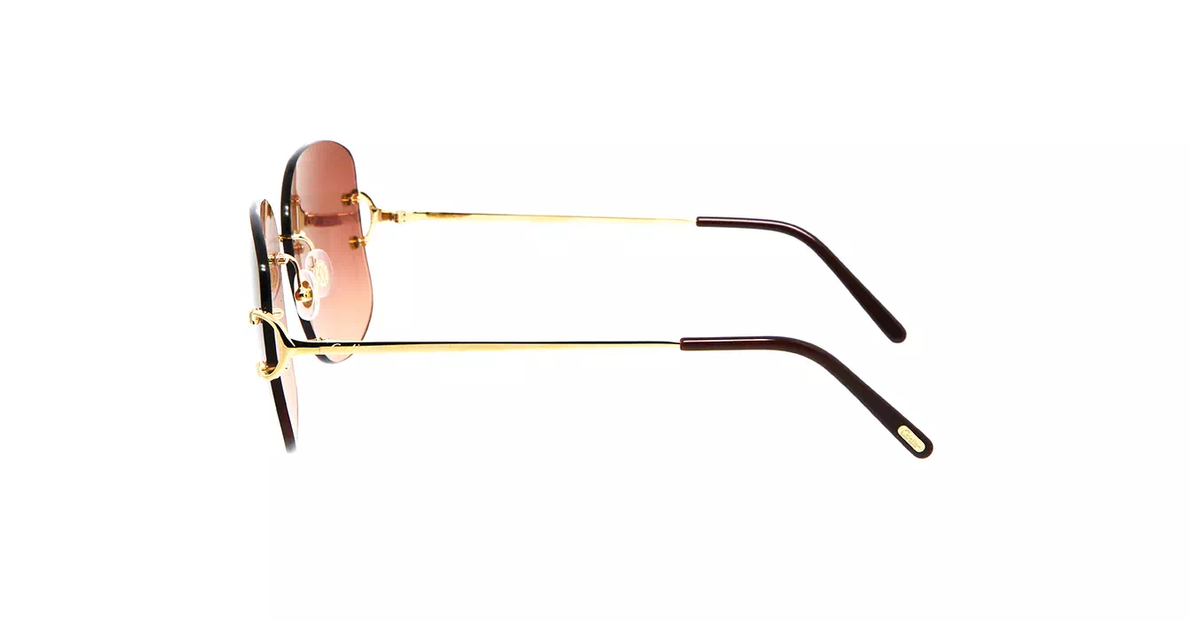Cartier CT0037RS 002 s60