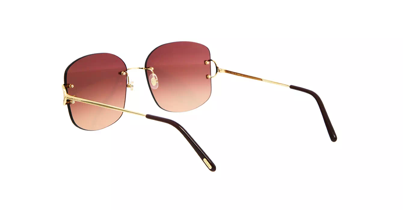 Cartier CT0037RS 002 s60