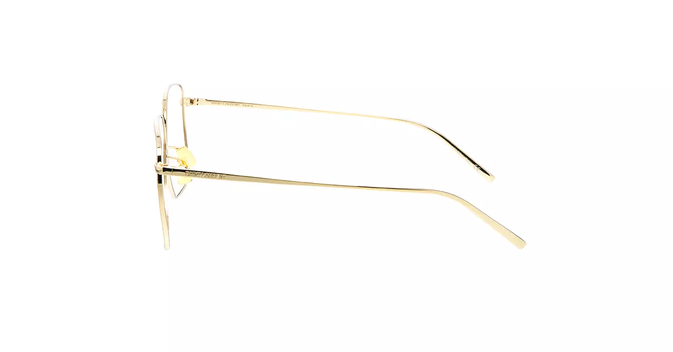 Saint Laurent SL 491 006 s55