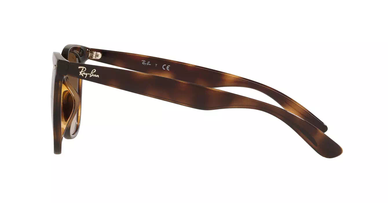 Ray-Ban RB4379D 710/13 s55