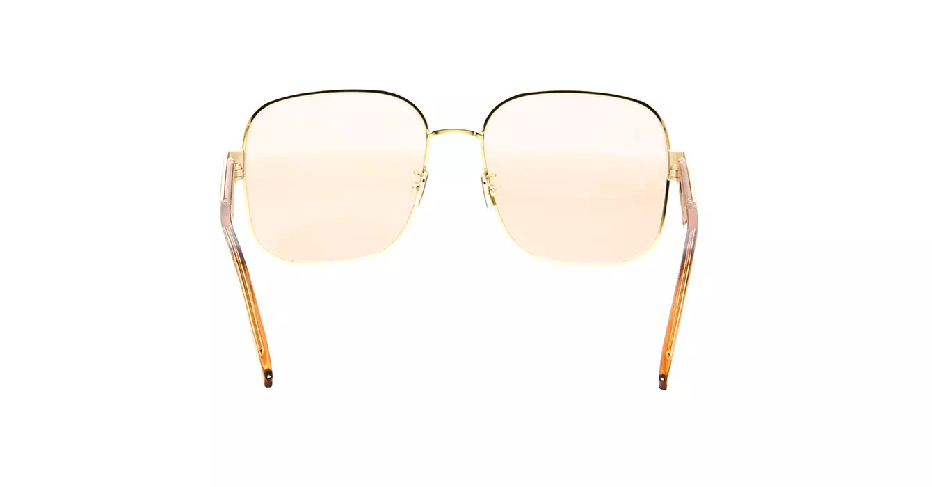 Dior Signature S5U CD40073U B0L0 s60