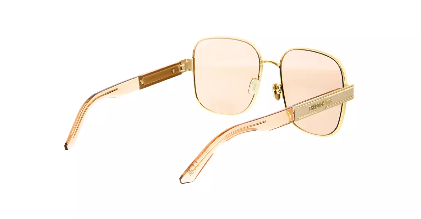 Dior Signature S5U CD40073U B0L0 s60