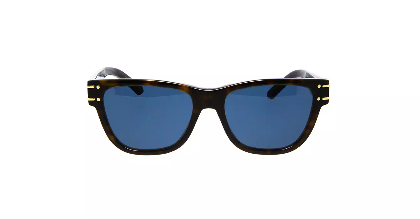 Dior Signature S6U CD40074U 20B0 s54